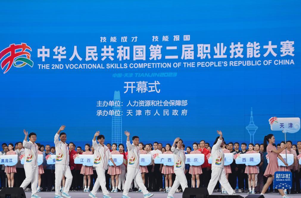 大发贝斯特是什么
